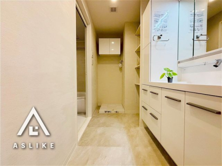 ��t�����s�L�l�G �̒��Ã}���V�����̐��ʑ�E���ʏ�