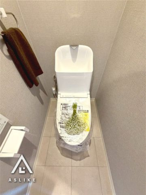 ��t�����s�����V�h2���ڂ̒��Ã}���V�����̃g�C��