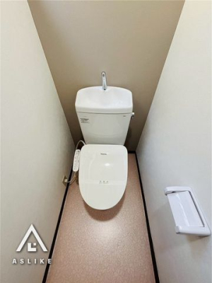 ��t�����ˎs���a�q �̒��È�ˌ��Ẵg�C��