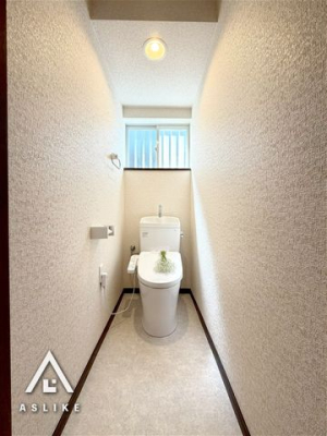 ��t�����s�厺 �̒��È�ˌ��Ẵg�C��