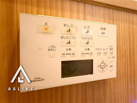 ��錧��~�S�������厚���� �̒��È�ˌ��Ẵg�C��