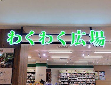 ��t�����ˎs�␣ �̒��Ã}���V�����̎��ӊ�