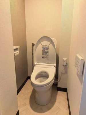 ��t�����s������ �̒��Ã}���V�����̃g�C��