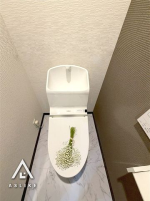 ��t�����ˎs��Օ�1���ڂ̒��Ã}���V�����̃g�C��