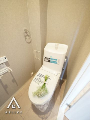 ��t�����P�J�s���x �̒��Ã}���V�����̃g�C��